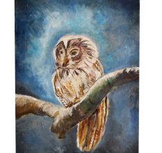 Night Owl Painting On Canvas