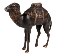 Brass Standing Camel Statue In Black Finish