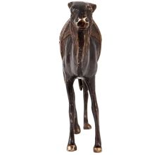 Brass Standing Camel Statue In Black Finish