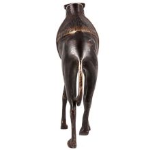 Brass Standing Camel Statue In Black Finish