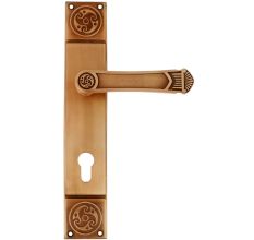 Elegant Brushed Brass Mortise Office Or Front Door Handle