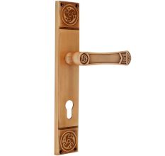 Elegant Brushed Brass Mortise Office Or Front Door Handle