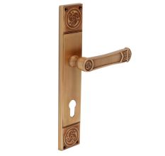 Elegant Brushed Brass Mortise Office Or Front Door Handle