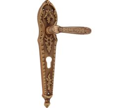 Antique Brass Mortise Door Handle