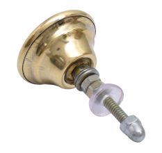 White Shell Brass Dresser Knob