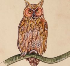 Horned owl Miniature Watercolor Painting