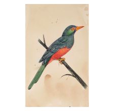 Miniature Painting Of Blue Bird Forest Nature