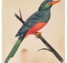 Miniature Painting Of Blue Bird Forest Nature