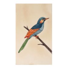 Miniature Colorful Bird Watercolor Canvas Painting