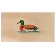 Miniature Wild Duck In Water Watercolor Painting