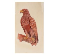 Miniature Wildlife Eagle Bird Watercolor Painting