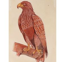 Miniature Wildlife Eagle Bird Watercolor Painting