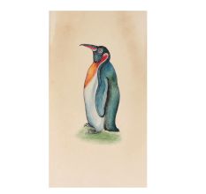Flightless Bird Penguin Miniature Watercolor Painting