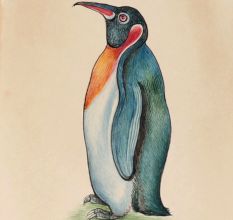 Flightless Bird Penguin Miniature Watercolor Painting