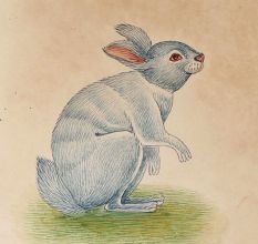 Miniature Bunny Rabbit Watercolor Painting