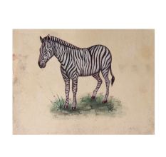 Zebra Unframed Watercolor Painting