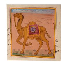 Miniature Camel Watercolor Painting