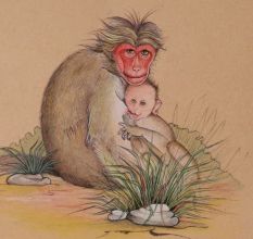 Mom and Baby Monkey Watercolor Painting