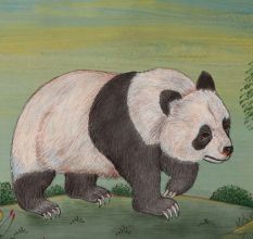 Panda in the Bamboo Grove Water Color painting