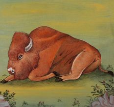 Watercolor Painting Of Bison Bull Male Praire American