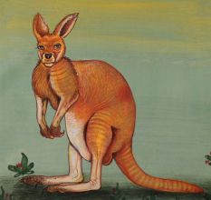 Watercolor Painting of an Australian Red Kangaroo
