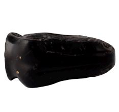 Elegant Black T Rex Dinosaur Statue