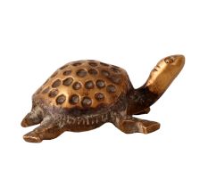 Brass Turtle Feng Shui Statue Design