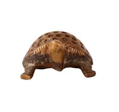Brass Turtle Feng Shui Statue Design