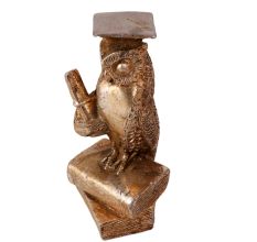 Brasss Wise Owl Staue with Diploma And Books