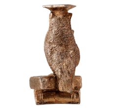 Brasss Wise Owl Staue with Diploma And Books