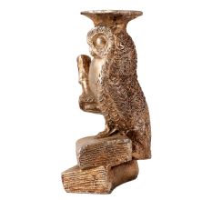 Brasss Wise Owl Staue with Diploma And Books