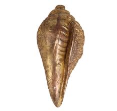 Brass Engraved Conch Shell for Pooja