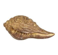 Brass Engraved Conch Shell for Pooja