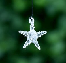 Multicolor Beach Theme Assorted Starfish Christmas Tree Ornaments Set of 10 Pcs