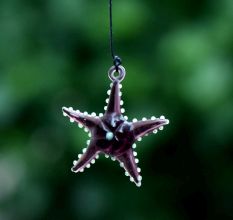 Multicolor Beach Theme Assorted Starfish Christmas Tree Ornaments Set of 10 Pcs