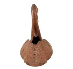 Swan Shaped Pot for Home Decoration