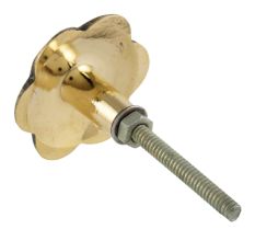 Pack of 6 Pieces Alyssum Flower Brass Shell Cabinet Knob