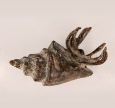 Vintage Brass Shell with Lingam for Home Decor