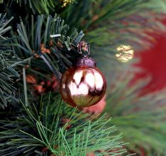 25 Pieces Rose Gold Glass Ornaments - Christmas Tree Ornaments