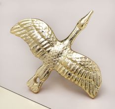 Modern Premium Iron Dresser Knobs in Shiny Golden Finish