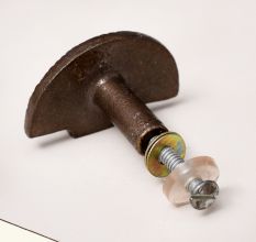 Decorative Iron Cabinet Knob in Unique Seashell Shape