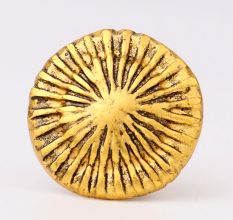 6 Pieces Antique Golden Aluminium Cabinet Knobs