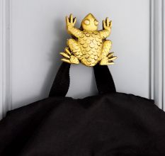 Modern Brass Frog Wall Hook In Golden