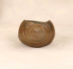 Indian Handcrafted Brass Shell in Vintage Finish for Decor