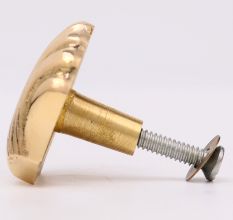 Solid Golden Shell Brass Drawer Knob