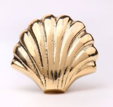 Solid Golden Shell Brass Drawer Knob