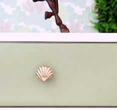 Solid Golden Shell Brass Drawer Knob