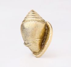 Golden Brass Conch Shell Drawer Knob