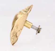 Golden Brass Conch Shell Drawer Knob