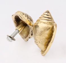 Golden Brass Conch Shell Drawer Knob